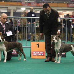 Handler met Amor