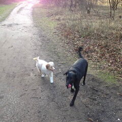 Bos 22-02-14