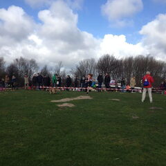 canicross zaandam start