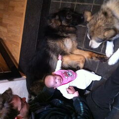 Eerste affectie van Lizzie (12weken) aan Storm