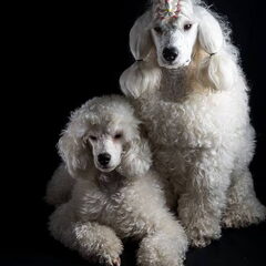 Samen op de foto!