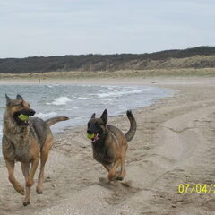 lekker banjeren bij ons aan het strand mooiste wat er is!