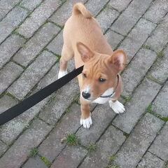 Samen wandelen!