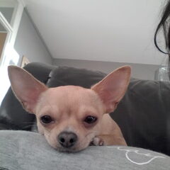 Yentl selfie
