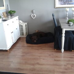Zoek Yentl :)