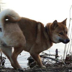 "Grrr, water!"