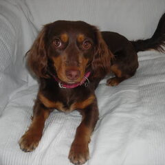 Hier is Djana 1 jaar en 8 maanden.