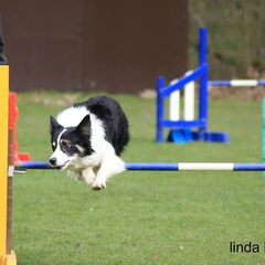 tommie tijdens de OCK op de club