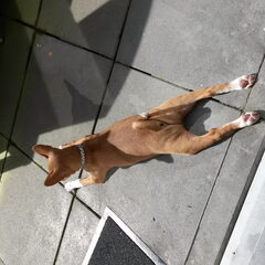 Chillend in de zon!