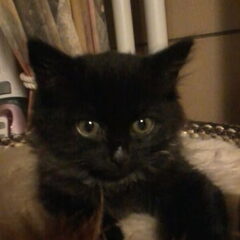 pip, me beste maatje ??