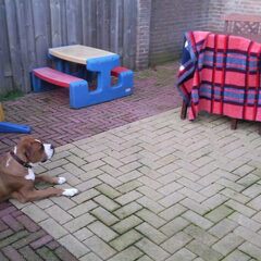 Ondeugend