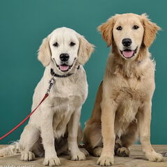 Sammie (teefje, links) met haar vriendje Boris. Toen beiden…