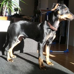In de zon