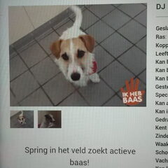 Die baas ben ik :)