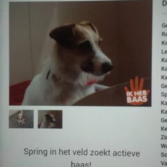 Die baas ben ik :)