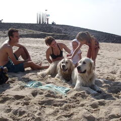 Deze foto is genomen op het strand nabij Vlissingen, we…