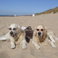 Dit zijn mijn hele STOERE kanjers op het strand van…