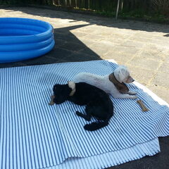 Gino en Laida op de camping