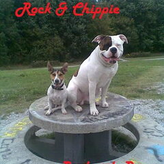 rockie en chippie helemaal uit zichzelf geposeerd!!!