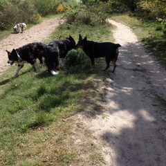 Wandeling op regte heide