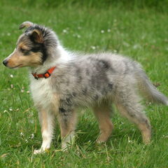 Jenna 11,5 week