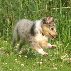 Jenna 11,5 week oud