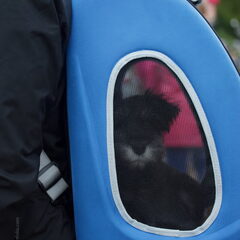 Mittens mee naar Oerol