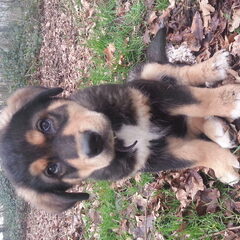 2 maandjes oud