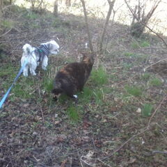 Boomer met de kat, een van haar beste maatjes thuis