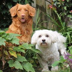 Jayla en Masha