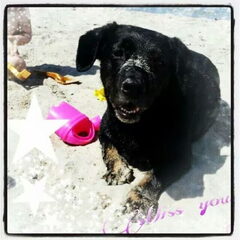 Dit is Kaylee