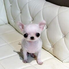 zoooooo eeeeeen schat!!!!!!!!!!!!!!!!!!!!!!!!!!!!!!!!!!!!!!!…