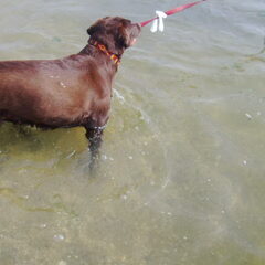 in het water spelen is eigelijk toch wel leuk en niet zo…