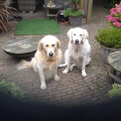 Kaya samen met een logé kyra