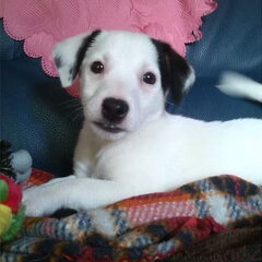 Dit is Mila !!