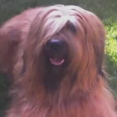 Onze lieve schat Prinses Shauwna