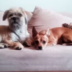 Effe poseren!