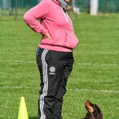 Clubkampioen gehoorzaamheid beginners 2013