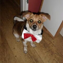 Lief he!