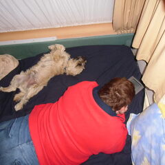 Ligt best goed in de caravan!