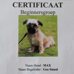 certificaat gehaald van de puppycursus Kent alle…