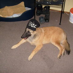 Onze "bitch" hihi