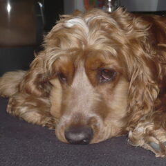 ze is soms wel lui