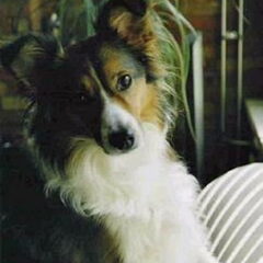Wat is ze mooi he