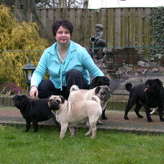 Ik ben Jonita en ben als dierentolk, energetisch therapeut…