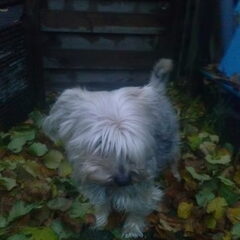 in de winter