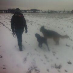 Bo's eerste sneeuwwandeling!!