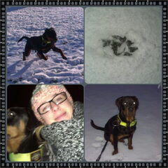 Sneeuwpret