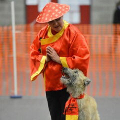 wij zijn wedstrijd dog dancers en hebben tesamen de BELGIUM…