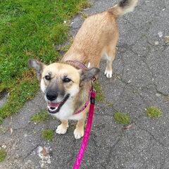 Een van de eerste wandelingen. (: